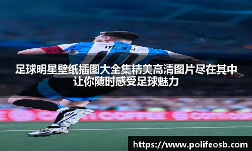 MLB球迷经济深度解析